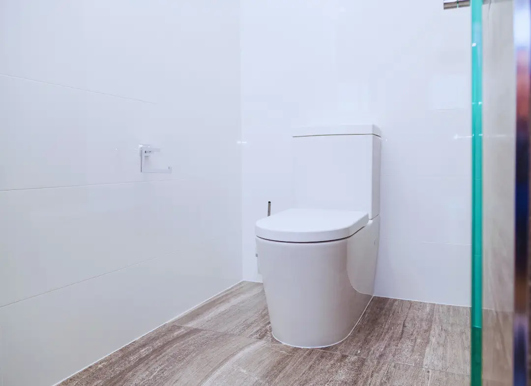 Remplacement de wc Poisy