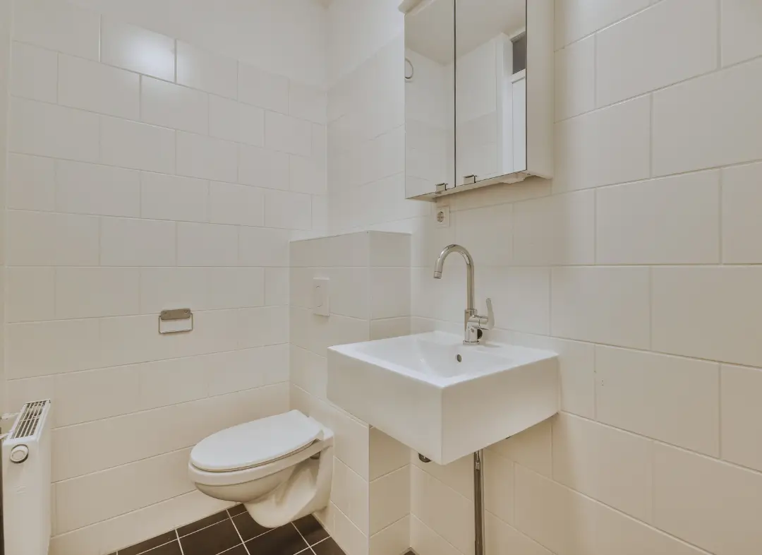 Pose WC Suspendu Poisy